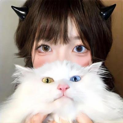 梅费尔行动