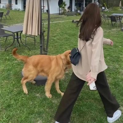 反斗灵猫