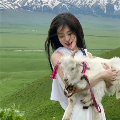 十二个想死的孩子